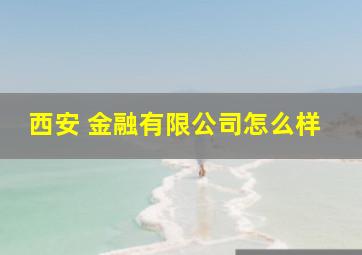 西安 金融有限公司怎么样